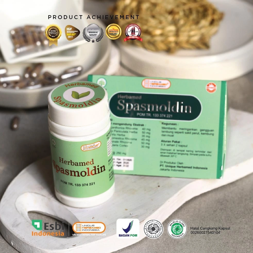 obat radang pencernaan